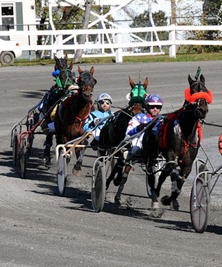 Horses Racing at the Track