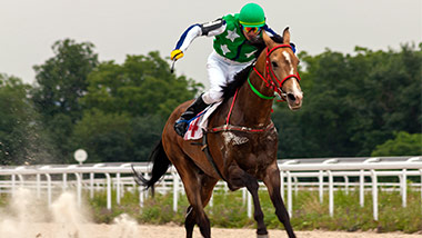 Horse Racing