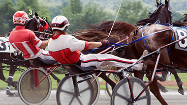 Harness Racing Racetrack