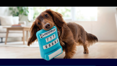 National Dog Day Dog Toy