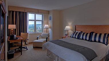 Hotel Room King Bed