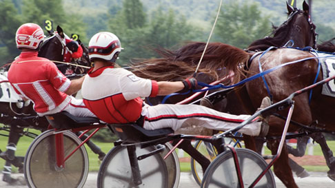 harness racing