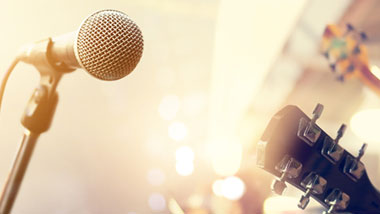 microphone guitar neck
